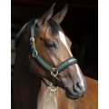 Back On Track Werano Halter / Headcollar